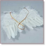7718B- Accessories : Fairy / Fee veren  vleugels 