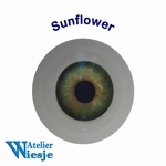 631200 - Eyes : Polyglass ogen  Sunflower -Soon available